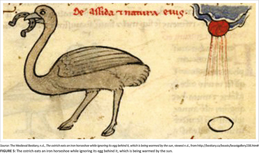 Ostrich is a Fowl for any Matter': The ostrich as a 'strange' fowl in  Jewish literature
