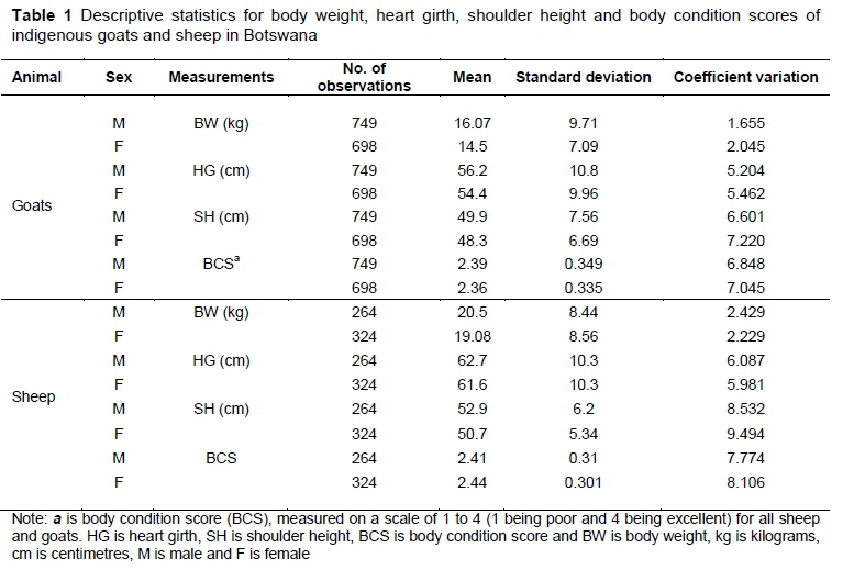 model-body-measurements-female
