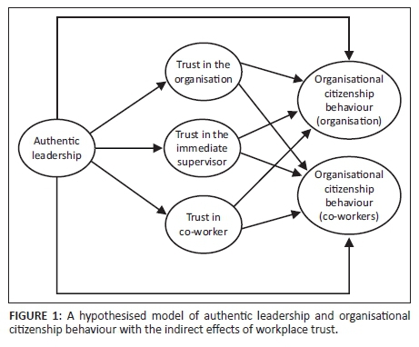 Properly Prelude Consecutive Authentic leadership and organisational citizenship behaviour in the public  health care sector: The role of workplace trust