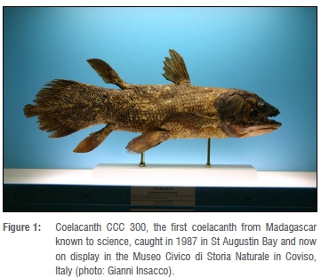 Coelacanth discoveries in Madagascar, with recommendations on