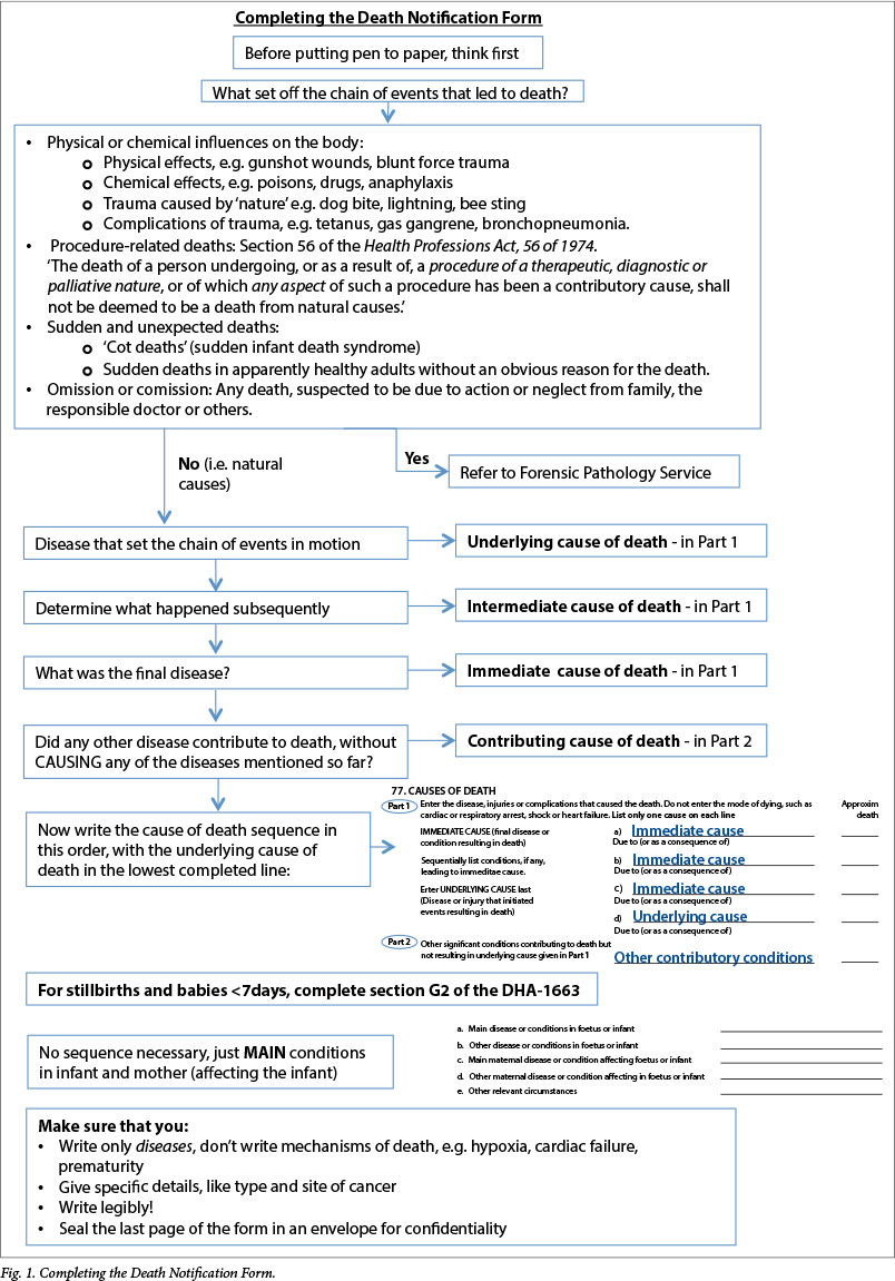 Medical certification of death in South Africa moving forward