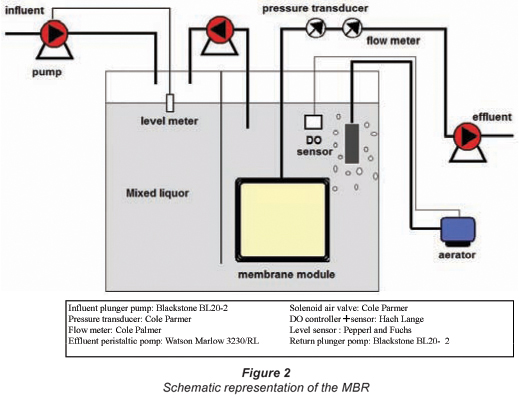 The Wastewater Treatment Process - Cole-Parmer