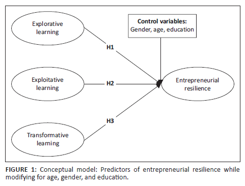 Exploring learning capability on entrepreneurial resilience of emerging ...