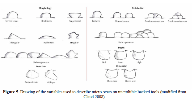 Microlitjics Morphological and functional variability of the geometric microlithic ...