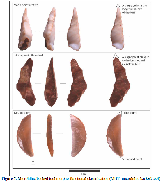 Morphological and functional variability of the geometric microlithic ...