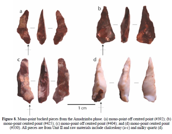 Morphological and functional variability of the geometric microlithic ...