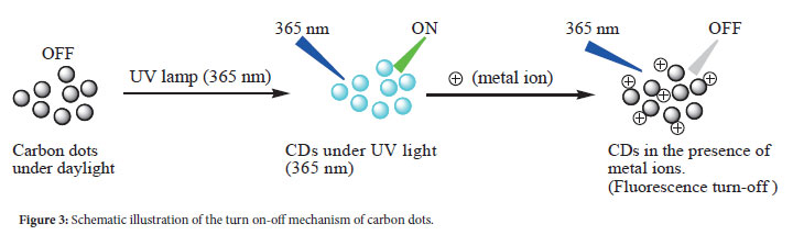 Carbon dots derived from biomass and their application towards ...