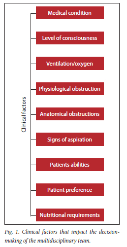 Clinical decision-making process of healthcare workers when feeding ...