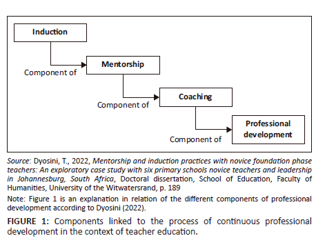 Professional development of teachers: Perceptions and challenges of ...