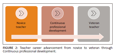 Professional development of teachers: Perceptions and challenges of ...