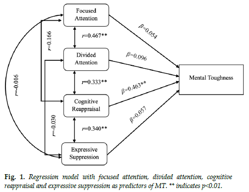The relationship between attention control, emotion regulation and ...