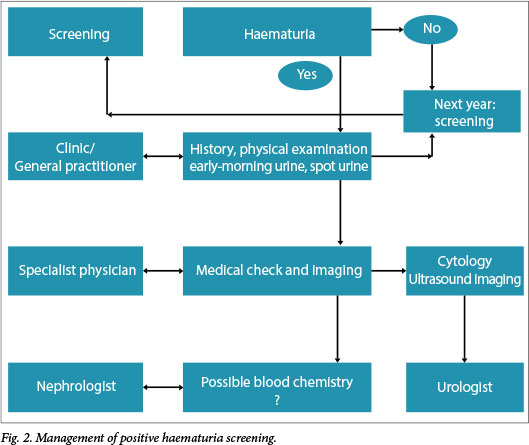 Diagnostic approach to chronic kidney disease