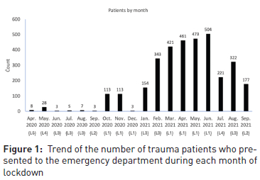The effect of the COVID-19 Lockdown levels on trauma cases in a South ...
