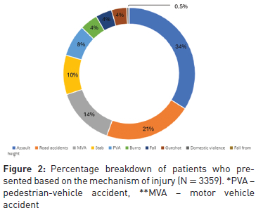 The effect of the COVID-19 Lockdown levels on trauma cases in a South ...