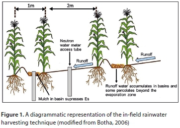 The role of water conservation strategies and benchmark ecotopes for ...